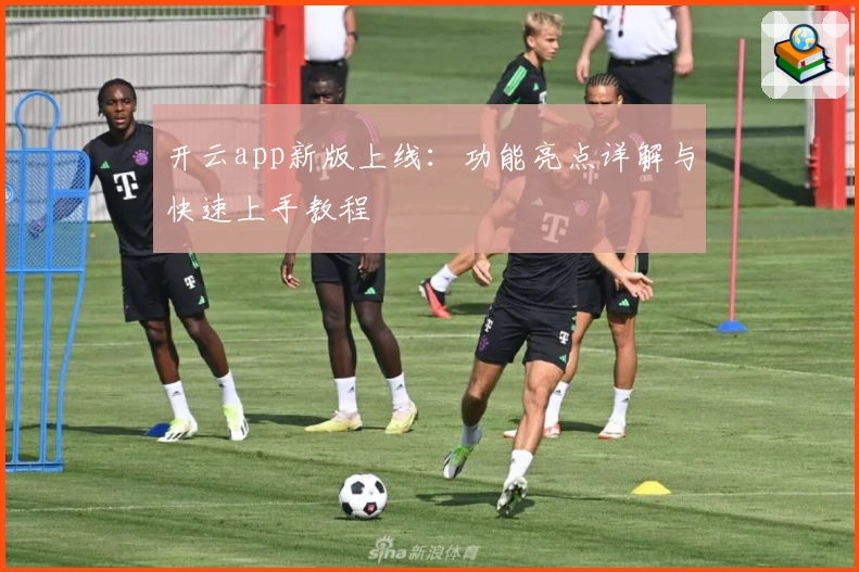 开云app新版上线：功能亮点详解与快速上手教程