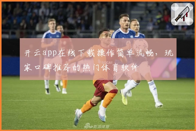 开云app在线下载操作简单流畅，玩家口碑推荐的热门体育软件