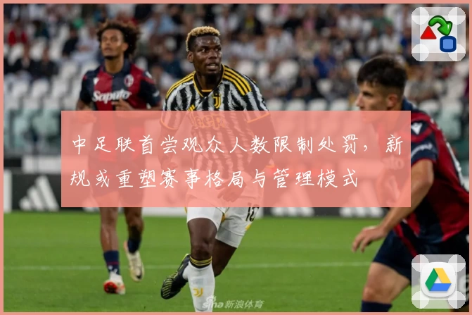 中足联首尝观众人数限制处罚,新规或重塑赛事格局与管理模式