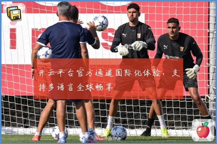 开云平台官方通道国际化体验,支持多语言全球畅享